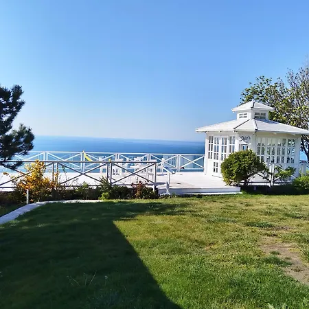 Forest House F70 Holiday home