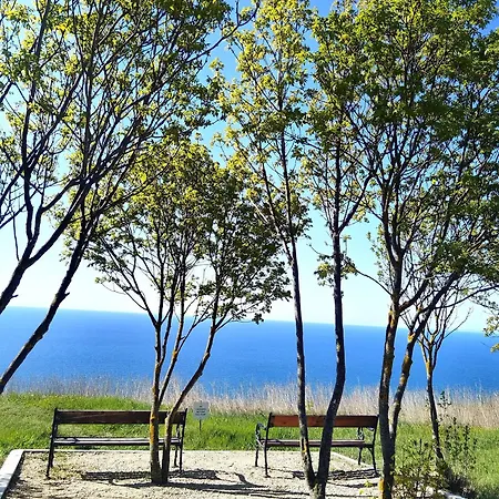 Forest House F70 Balchik